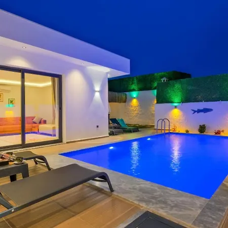Villa Sitrin 1 / Merkez